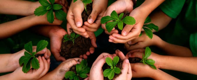 Imaginar até existir | Ecos na Educação